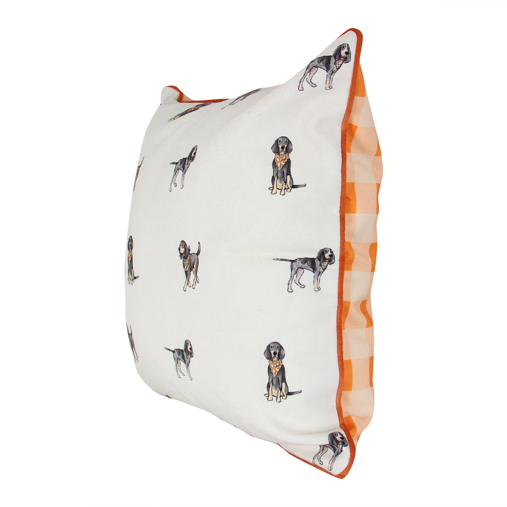 Bluetick Coonhound Gingham Pillow