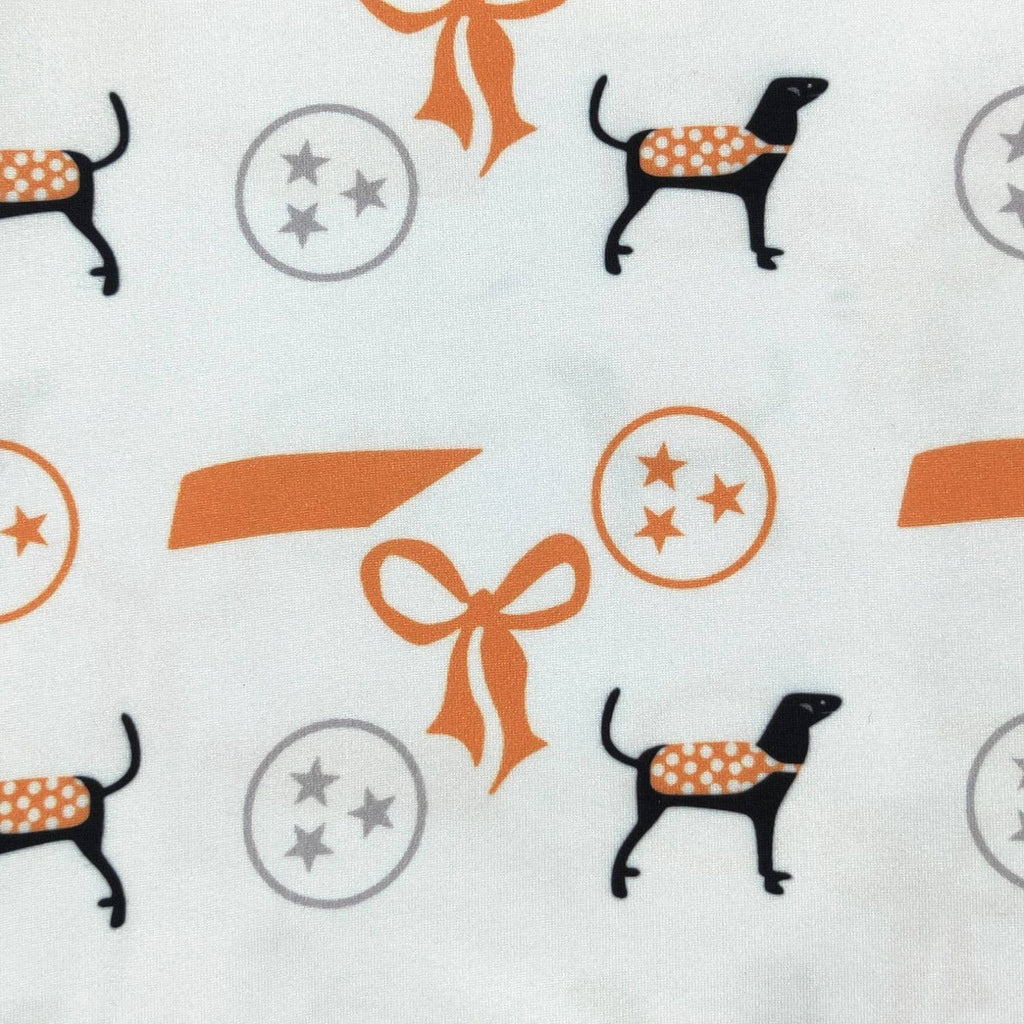 Tennessee Baby Romper